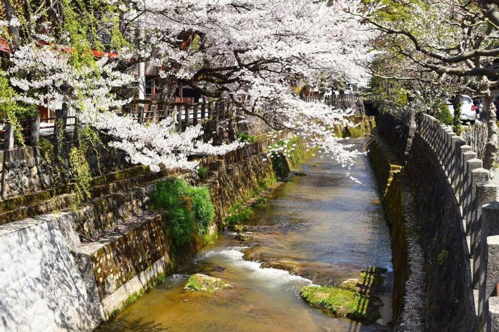 Komorebi/こもれび Takayama  Eksteriør billede